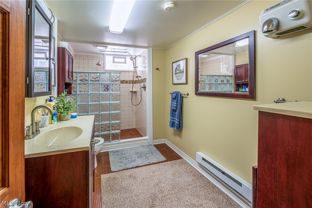 1825 Dexter Road Northeast Massillon, OH 44646 - Photo 22 of 30 Lower-level bathroom, glass block shower, storage cabinet, and beautiful wood cabinet.