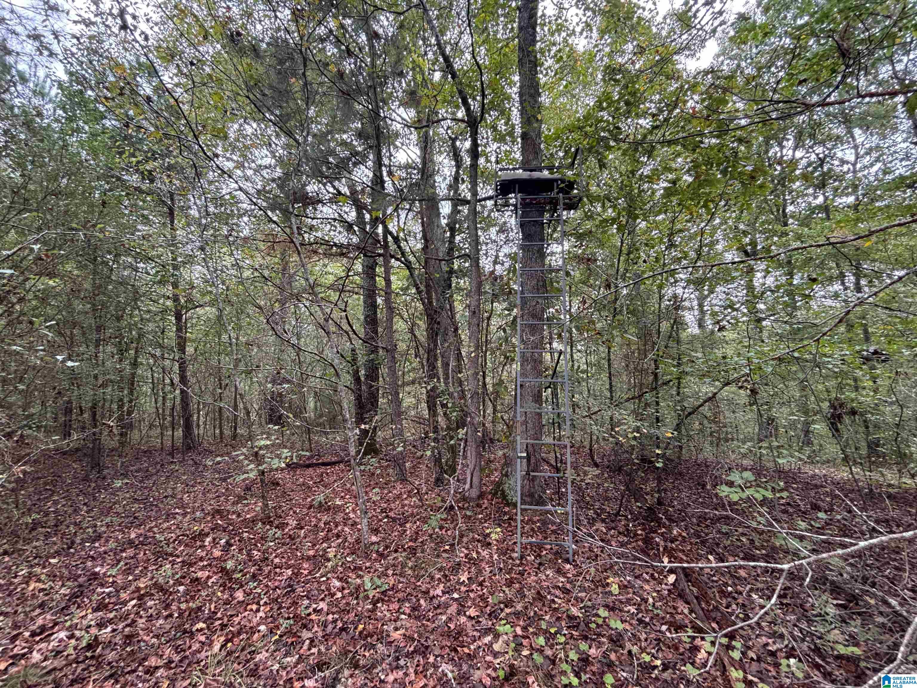 Gallant Road, Unit 17 6 Ashville, AL 35953 - Photo 9 of 20