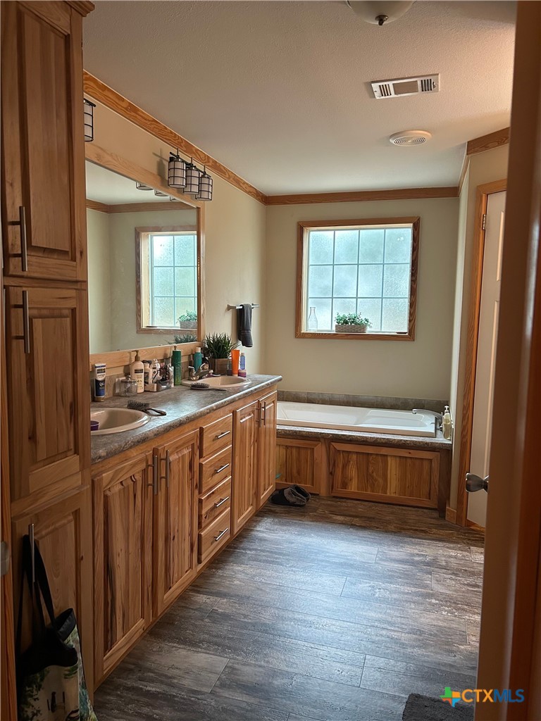 371 Moosehead Road Spring Branch, TX 78070 - Photo 14 of 17 a bathroom with a granite countertop double vanity sink a mirror and a bathtub
