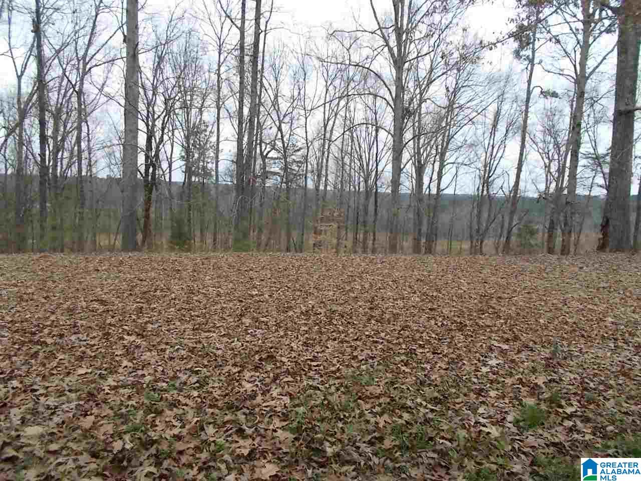 3108 Hull Road Empire, AL 35063 - Photo 40 of 44