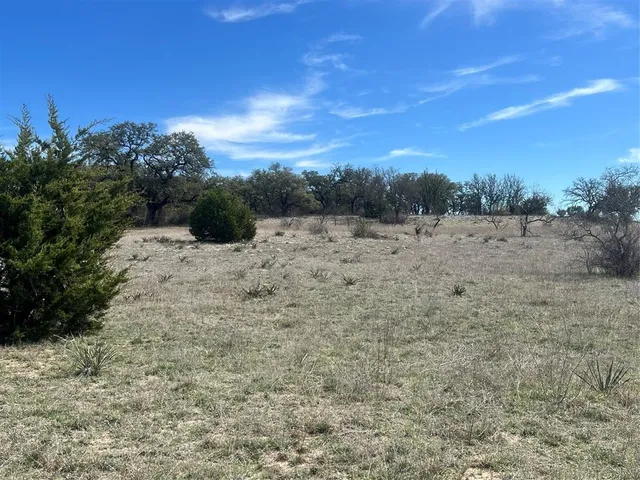 a view of a dry yard with lots of green space