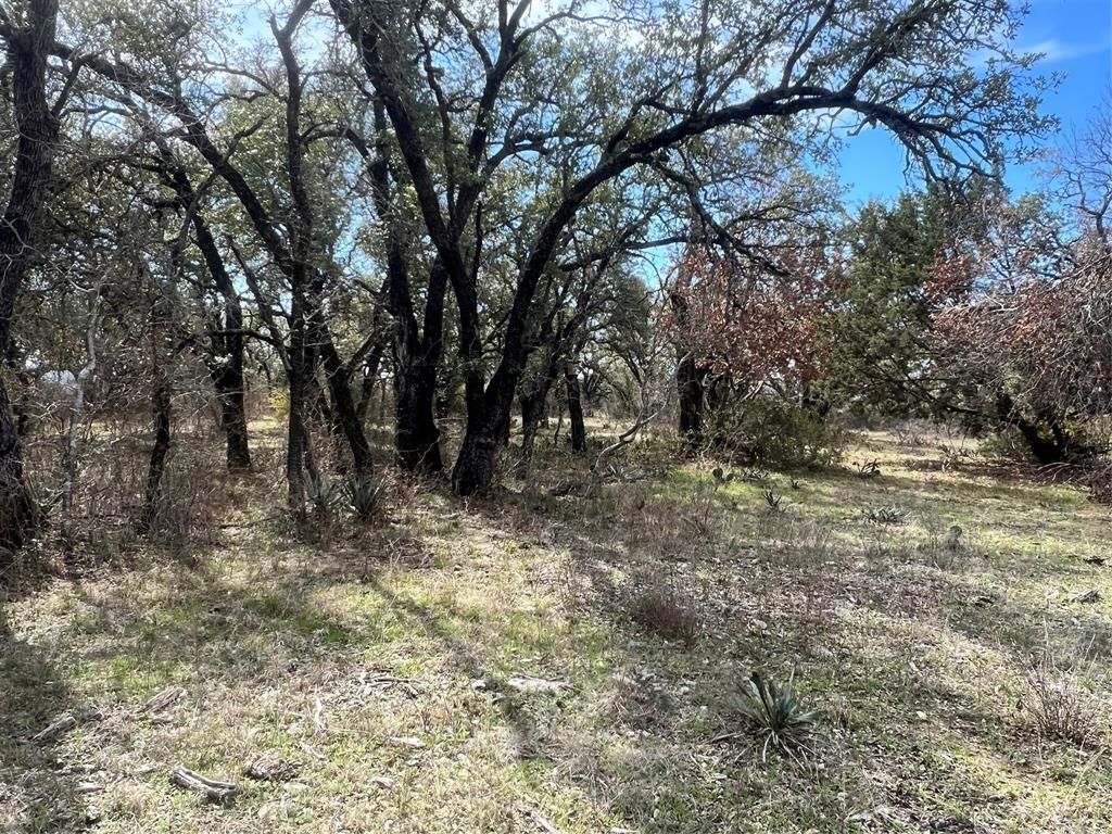 149 Comanche Hills Comanche, TX 76442 - Photo 13 of 37
