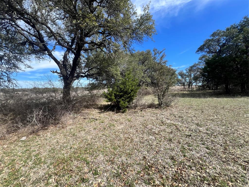 149 Comanche Hills Comanche, TX 76442 - Photo 14 of 37