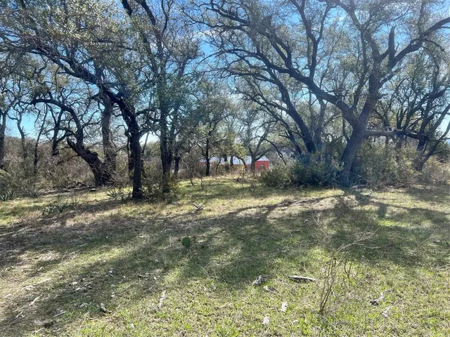 a view of a tree with a yard