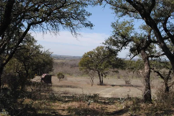 a view of a yard with trees