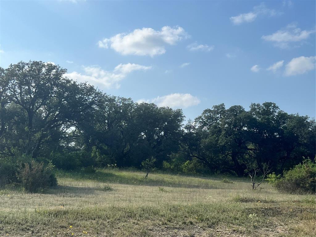 149 Comanche Hills Comanche, TX 76442 - Photo 3 of 37