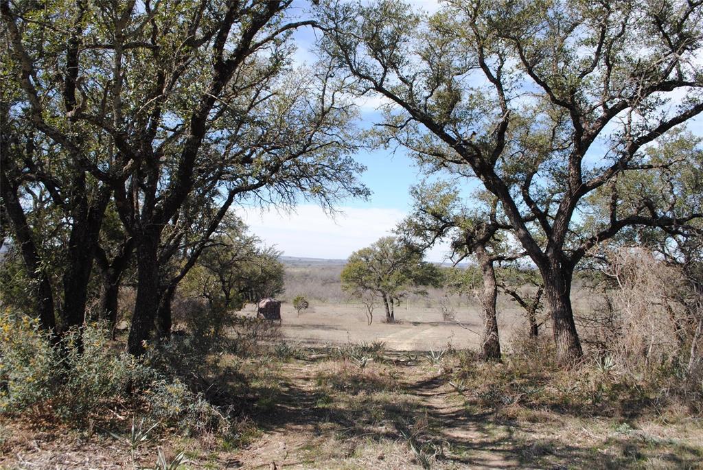 149 Comanche Hills Comanche, TX 76442 - Photo 31 of 37
