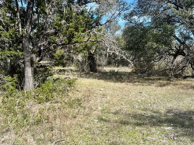 a view of a yard with trees