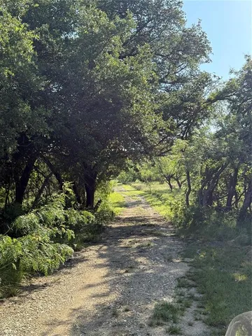 a view of a yard with a tree