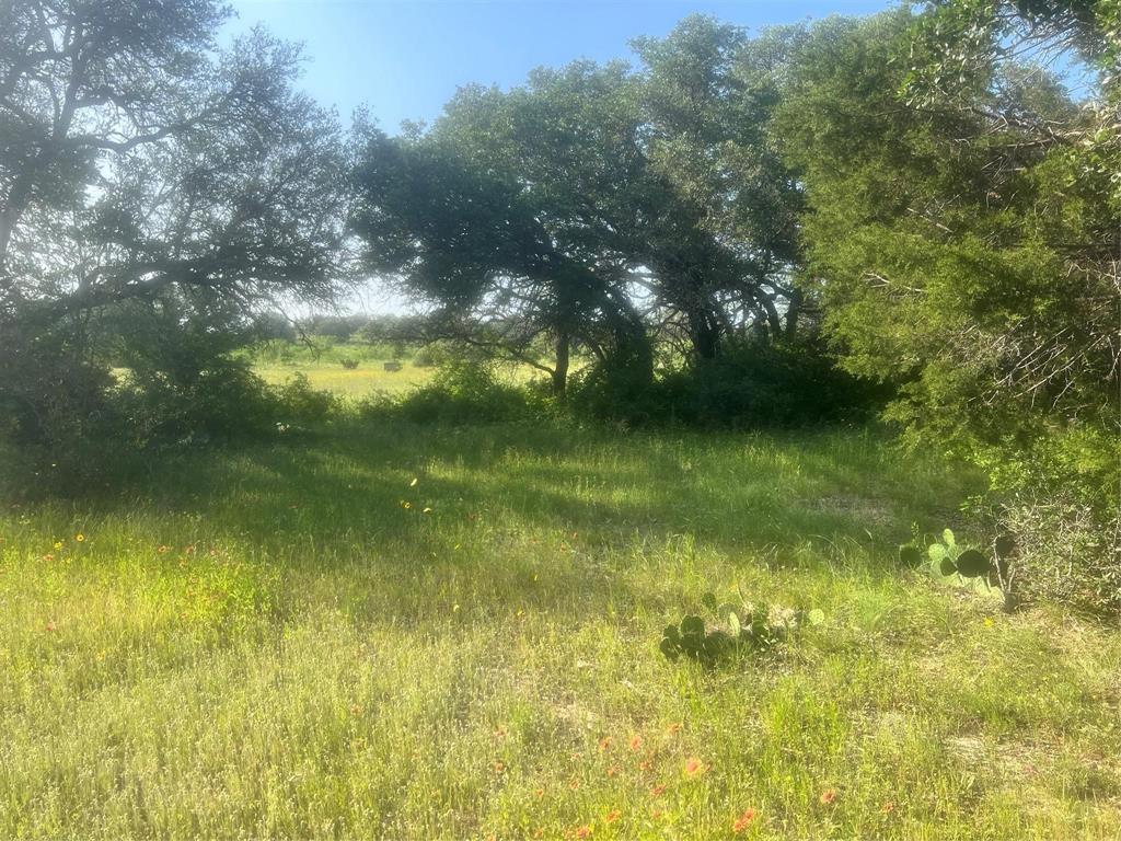 149 Comanche Hills Comanche, TX 76442 - Photo 36 of 37