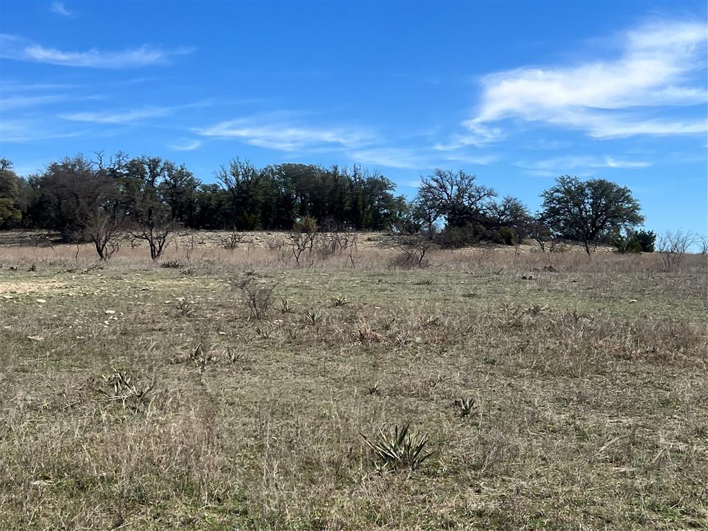 149 Comanche Hills Comanche, TX 76442 - Photo 8 of 37