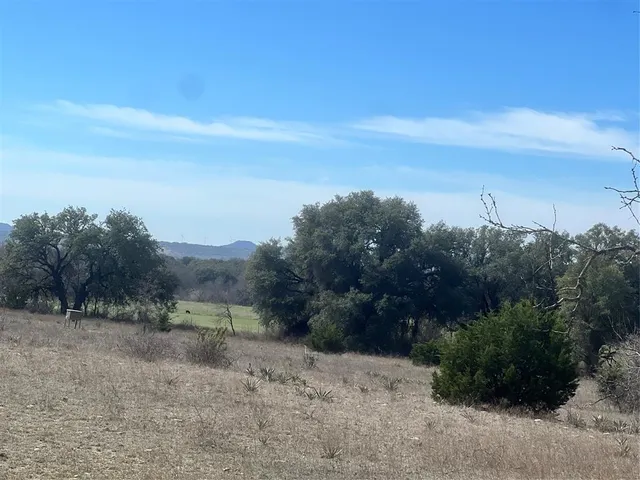 a view of a dry yard with trees