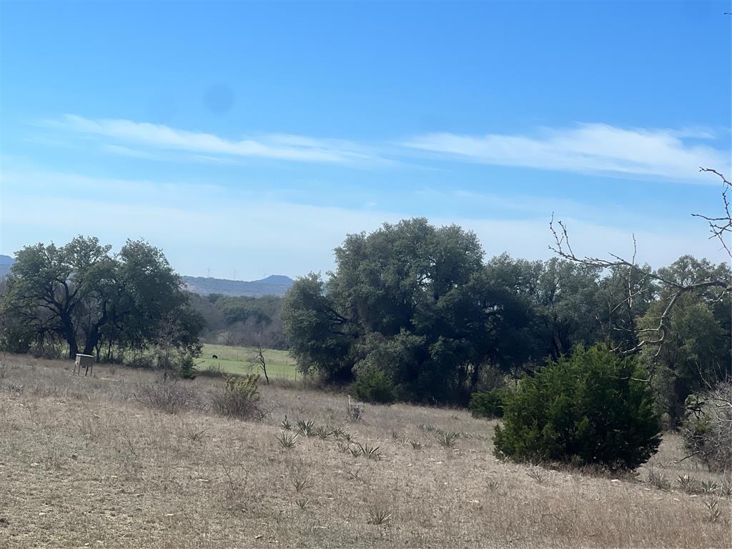 149 Comanche Hills Comanche, TX 76442 - Photo 9 of 37