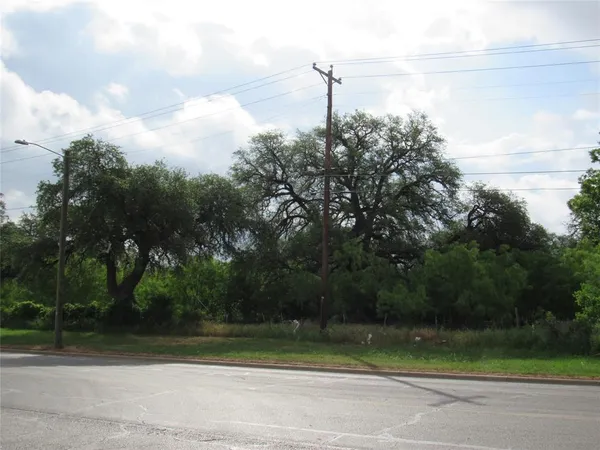 a view of a yard