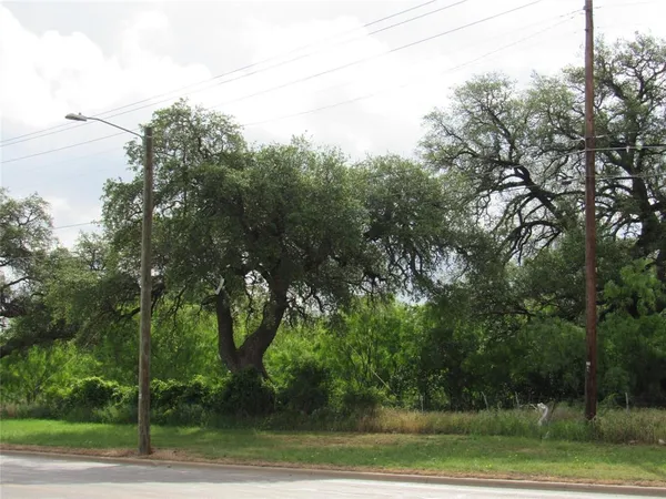 a view of a forest with lots of trees