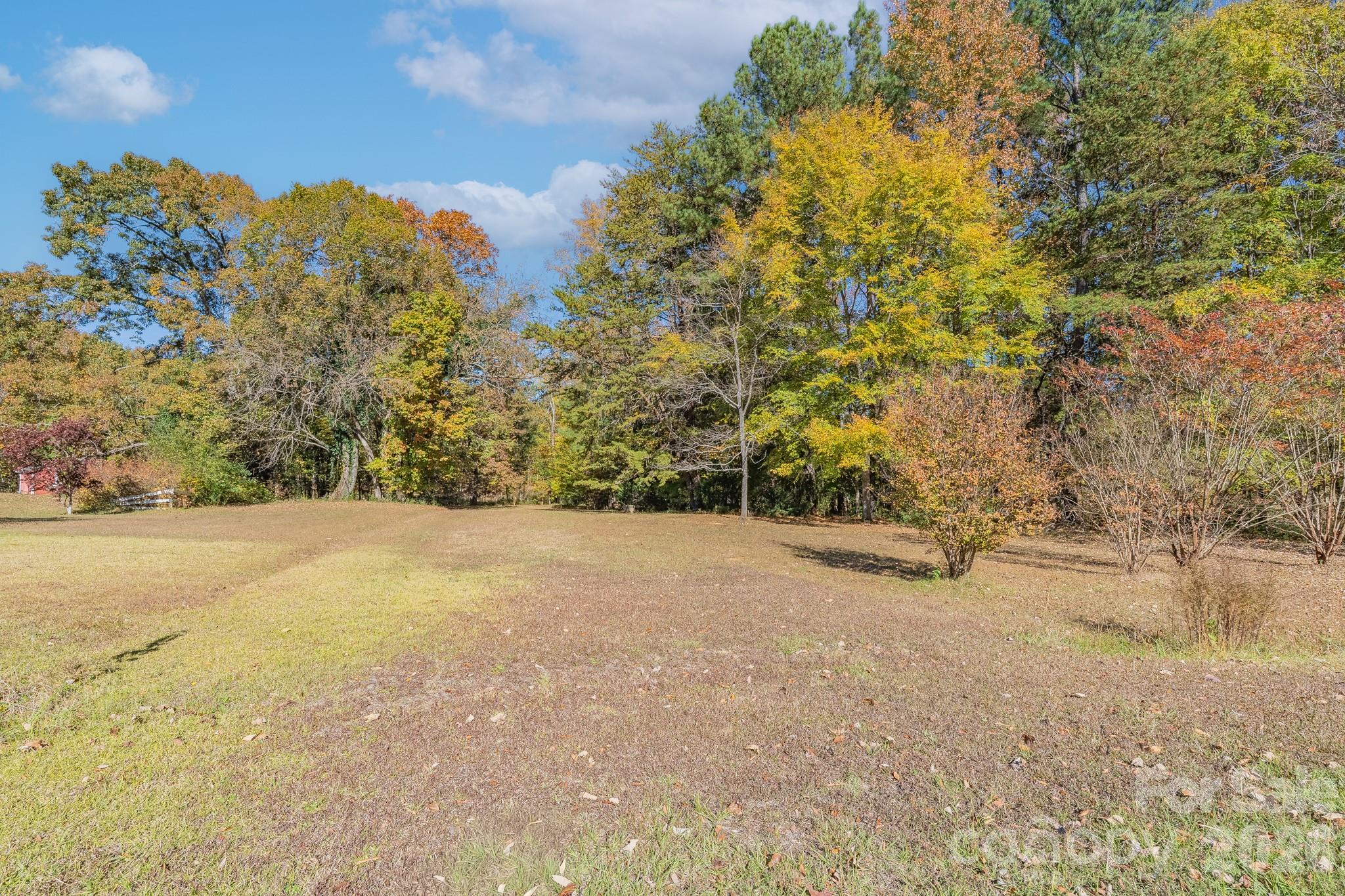 6040 Little Mountain Road Clover, SC 29710 - Photo 2 of 7 a view of a yard with a tree