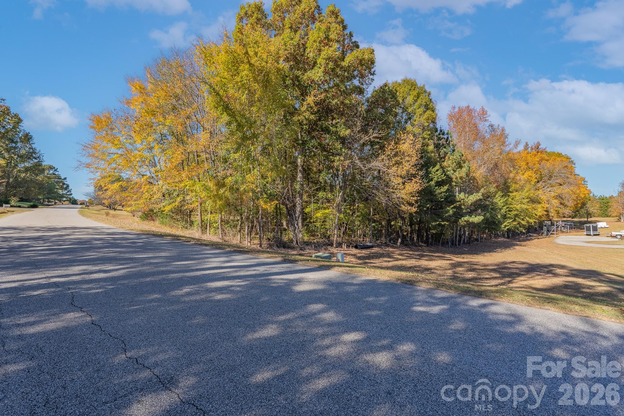 6040 Little Mountain Road Clover, SC 29710 - Photo 5 of 7 a view of road and trees