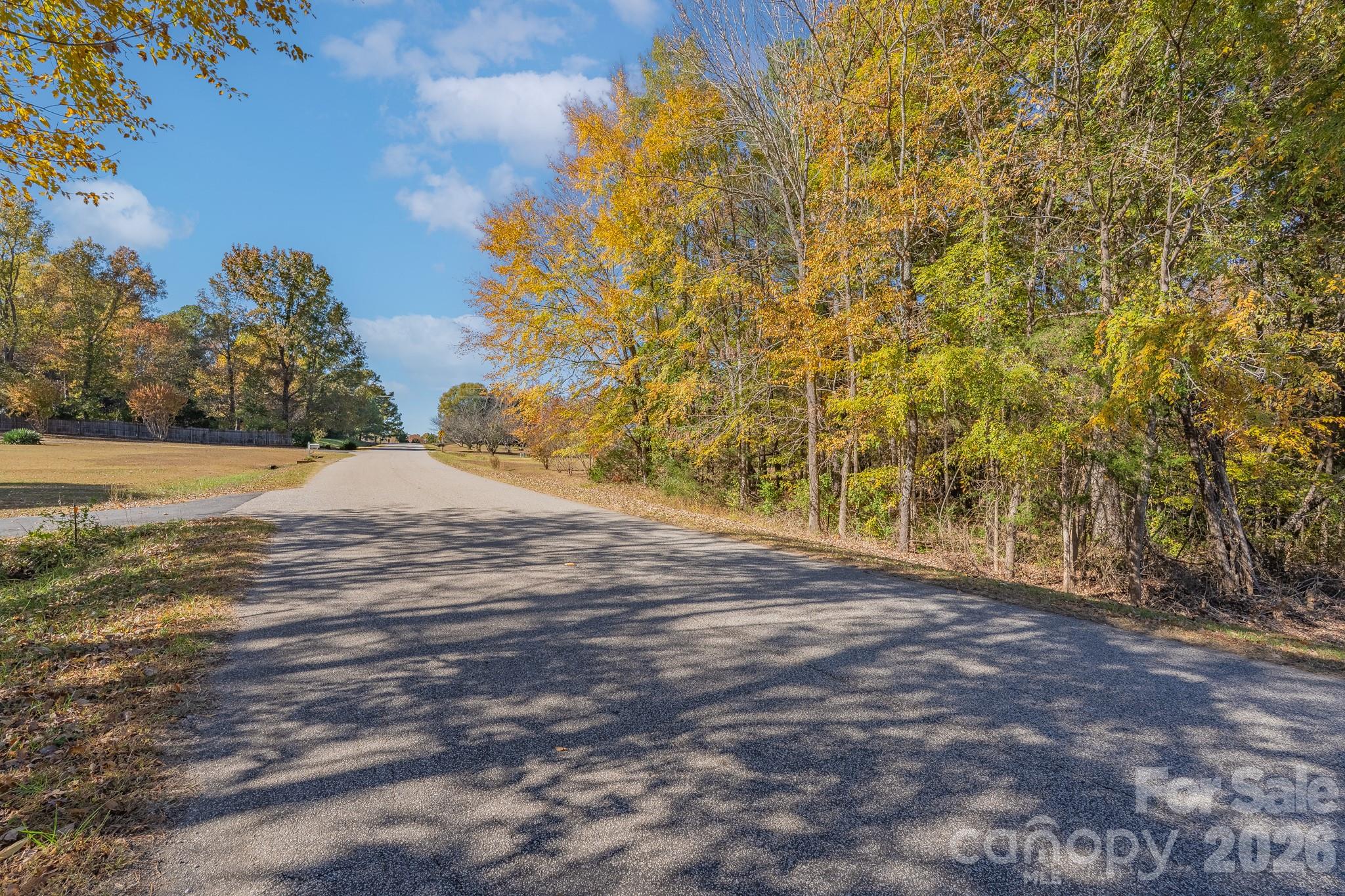 6040 Little Mountain Road Clover, SC 29710 - Photo 6 of 7 a view of empty space with green space