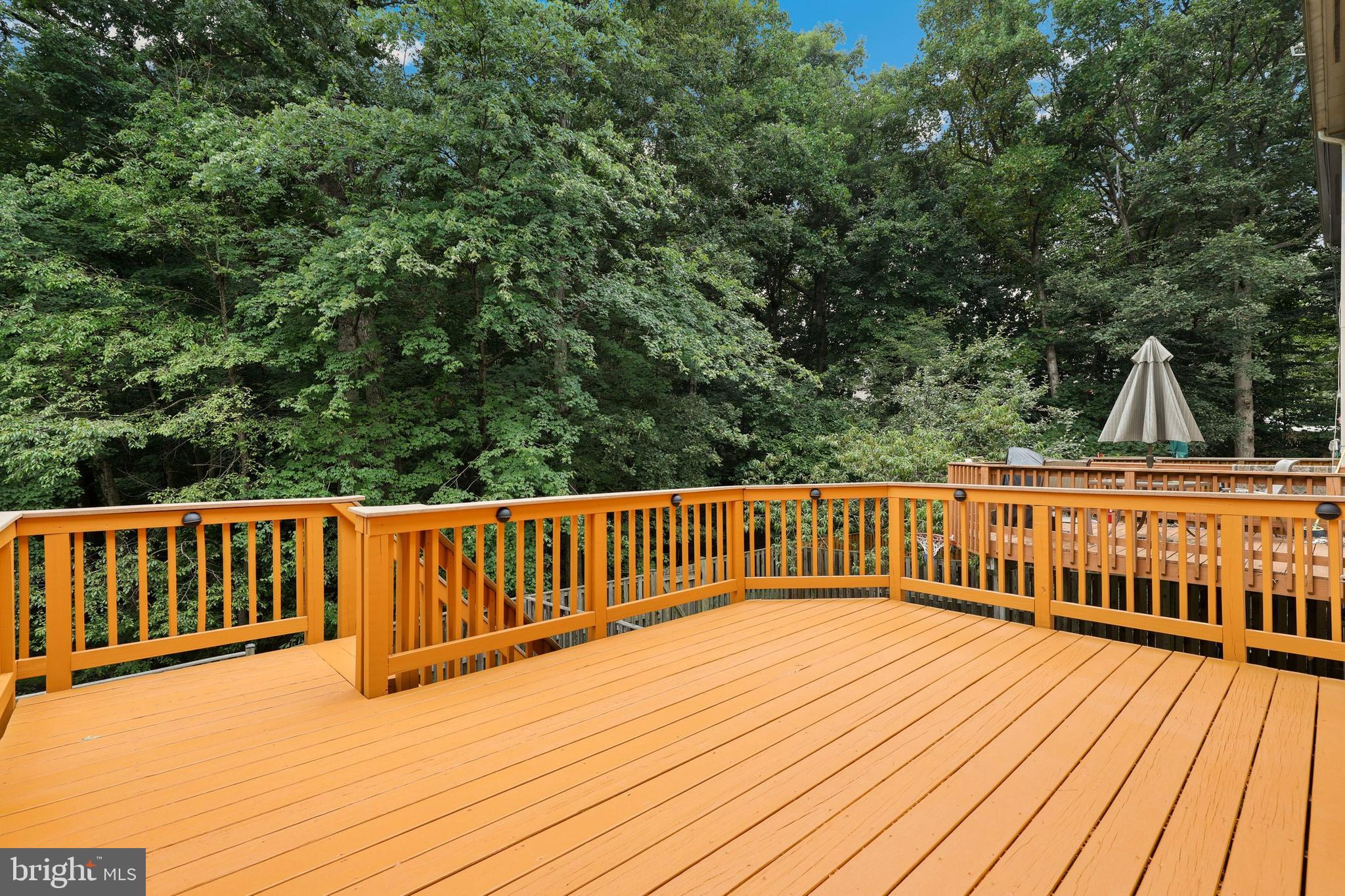 7404 Spring Tree Drive Springfield, VA 22153 - Photo 13 of 31 Large deck off main level living room.