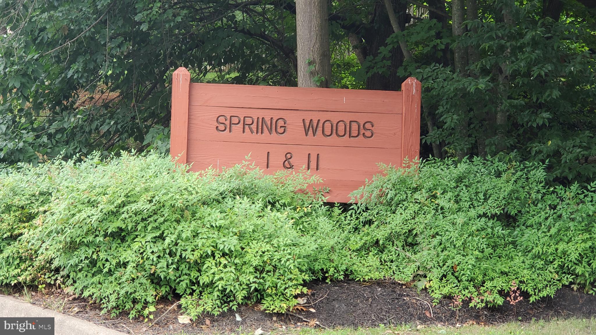7404 Spring Tree Drive Springfield, VA 22153 - Photo 3 of 31 Spring woods community.