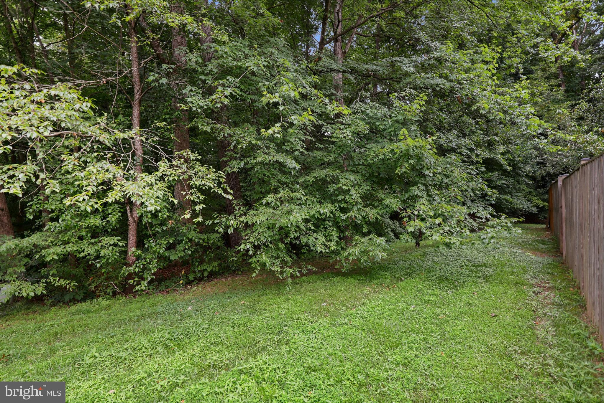 7404 Spring Tree Drive Springfield, VA 22153 - Photo 31 of 31 Gorgeous woods surround you!