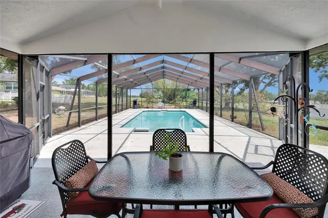 a view of a yard with plants and large trees