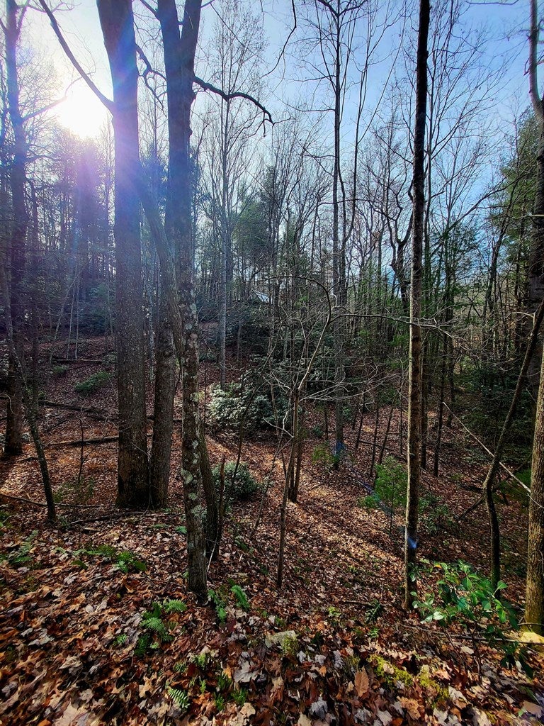Gallery Image 7