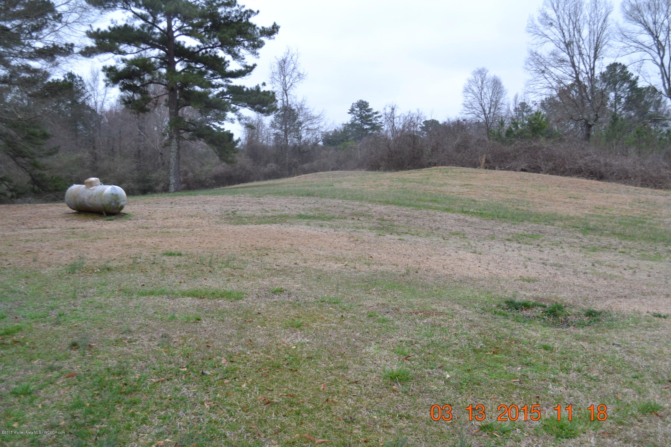 3267 Redmill Saragossa Road Nauvoo, AL 35578 - Photo 12 of 14 Gallery Image 12
