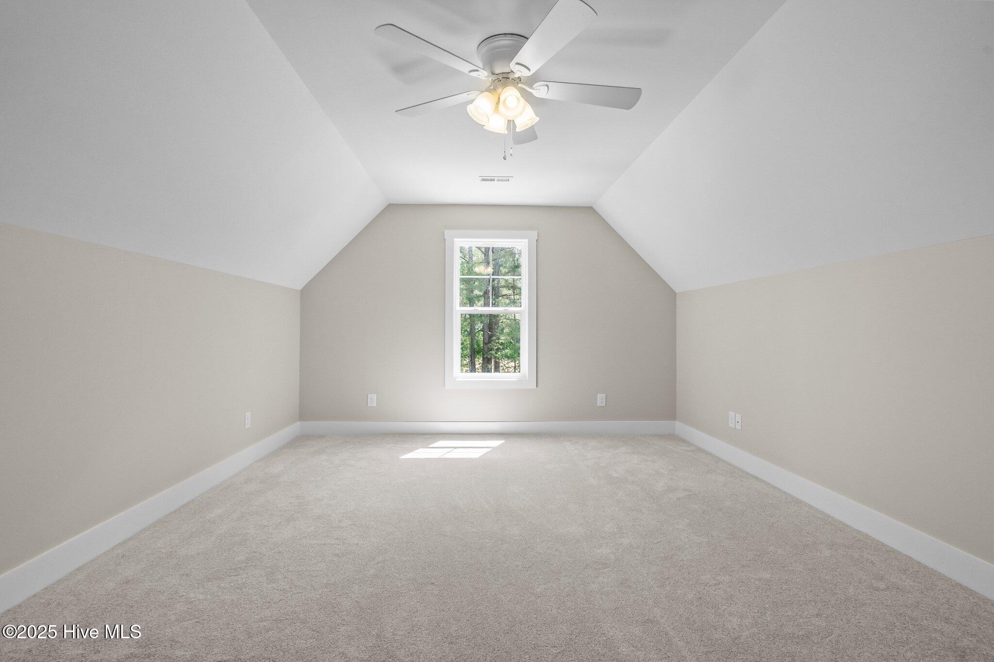 5400 Dowd Road West End, NC 27376 - Photo 43 of 60 61-web-or-mls-DSC08742