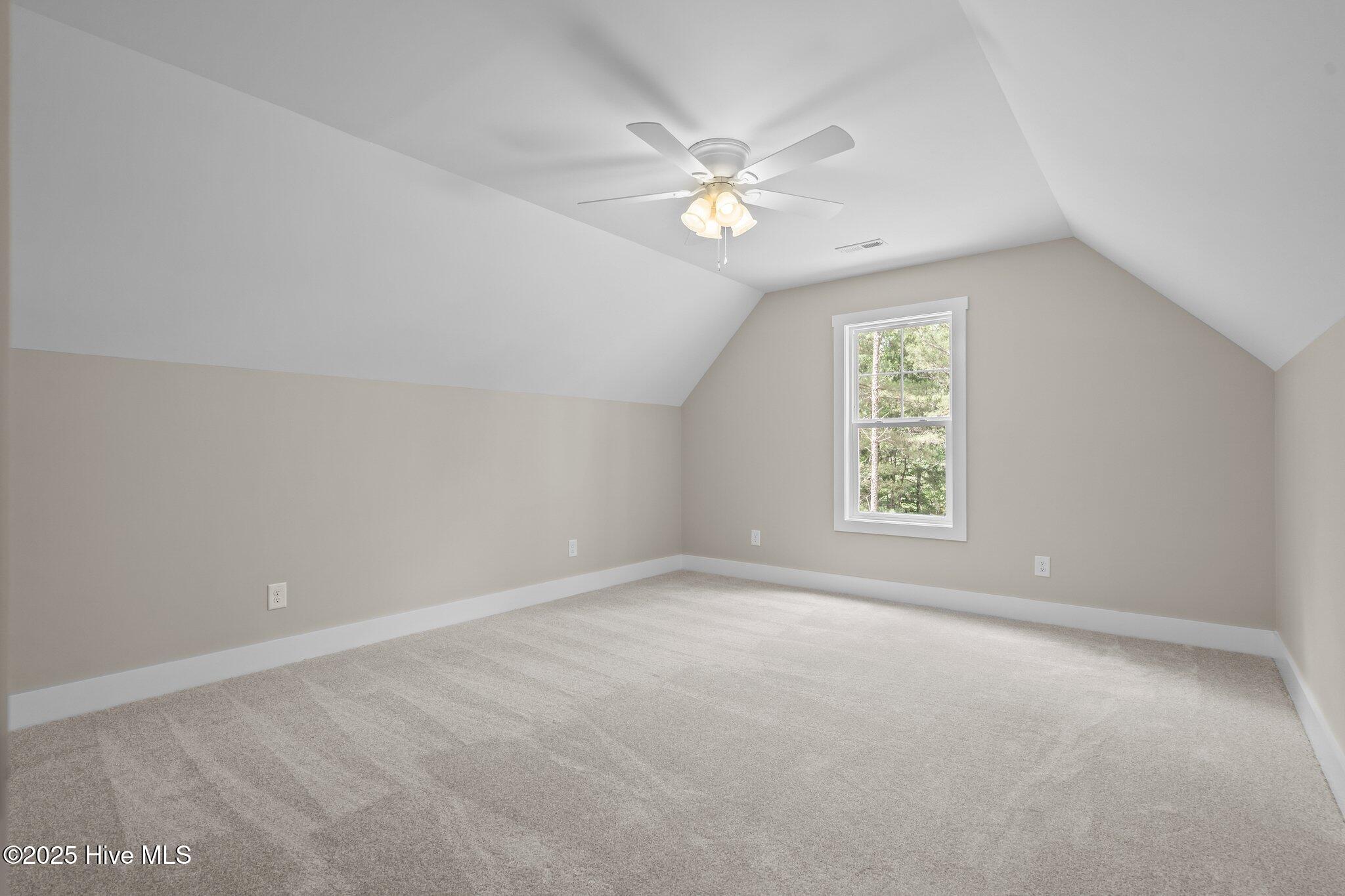 5400 Dowd Road West End, NC 27376 - Photo 47 of 60 69-web-or-mls-DSC08769