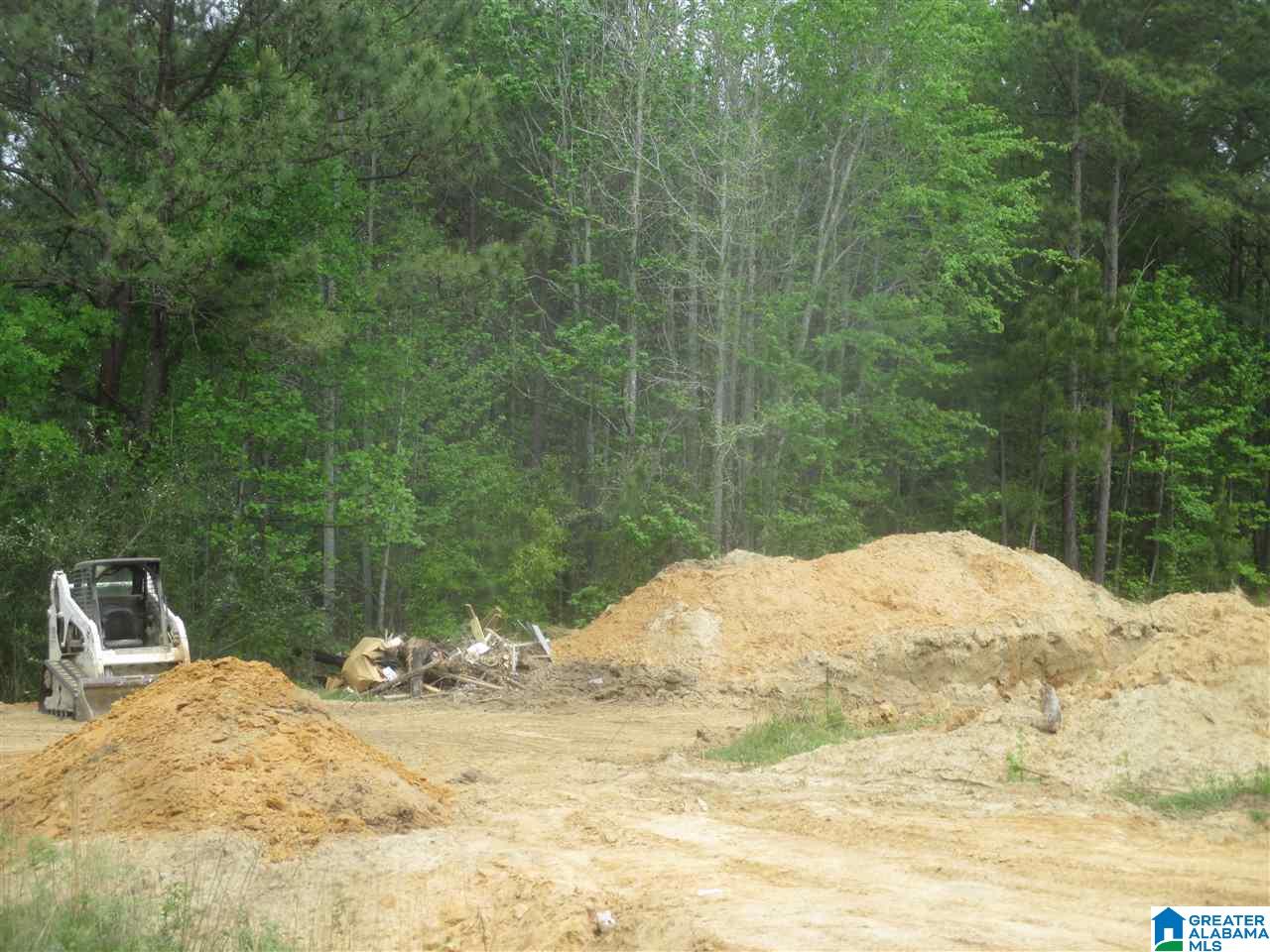 74 Mountain Top Road Warrior, AL 35180 - Photo 3 of 3 Gallery Image 3