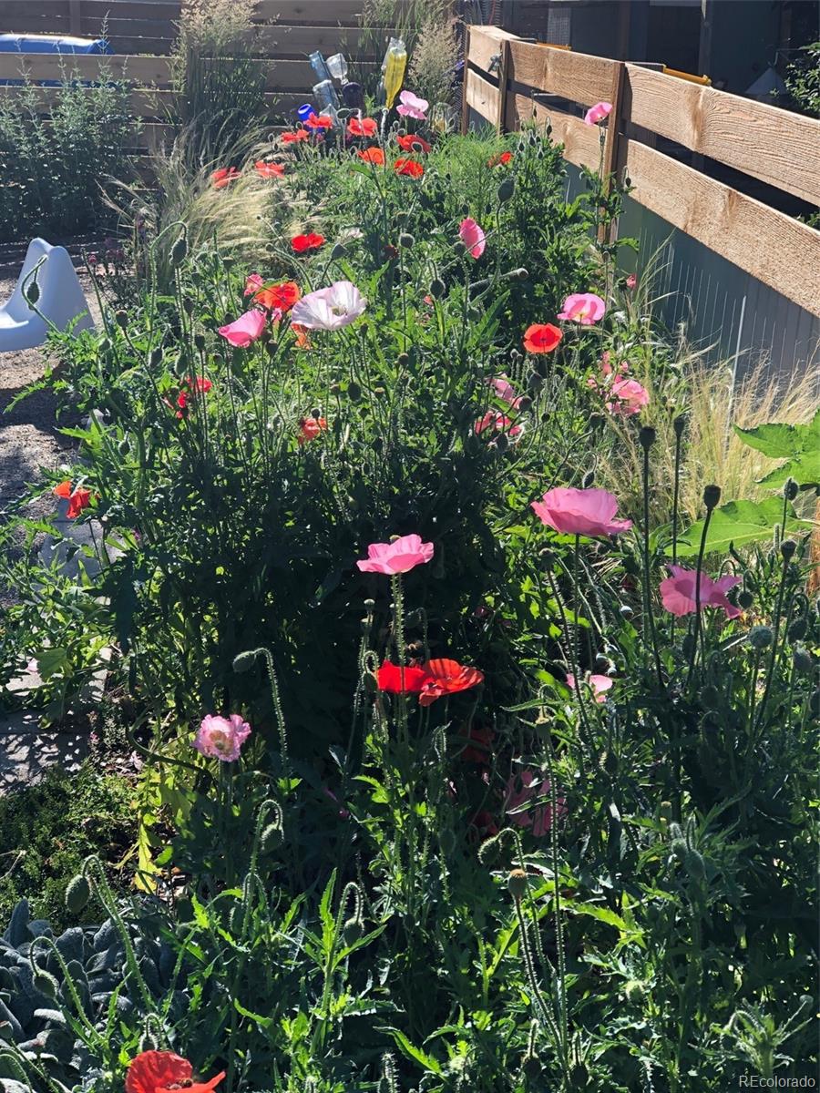 3630 Fillmore Street Denver, CO 80205 - Photo 30 of 50 a view of a flower in a garden