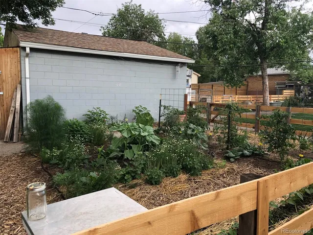 a view of a backyard