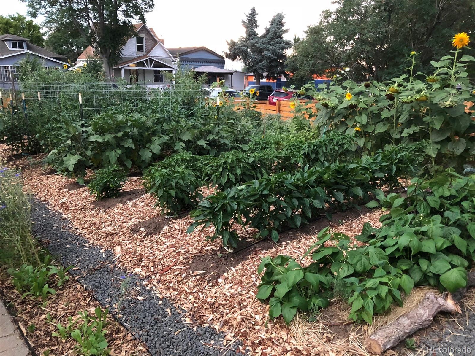 3630 Fillmore Street Denver, CO 80205 - Photo 40 of 50 a view of a town with plants and large trees