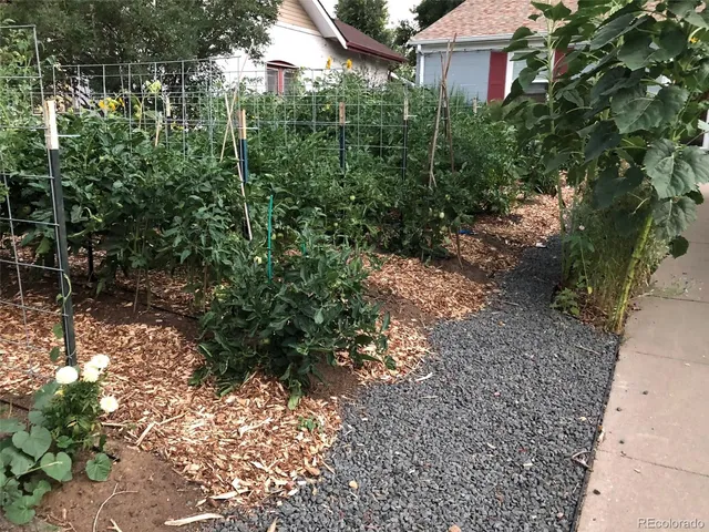 a view of a garden with a pathway