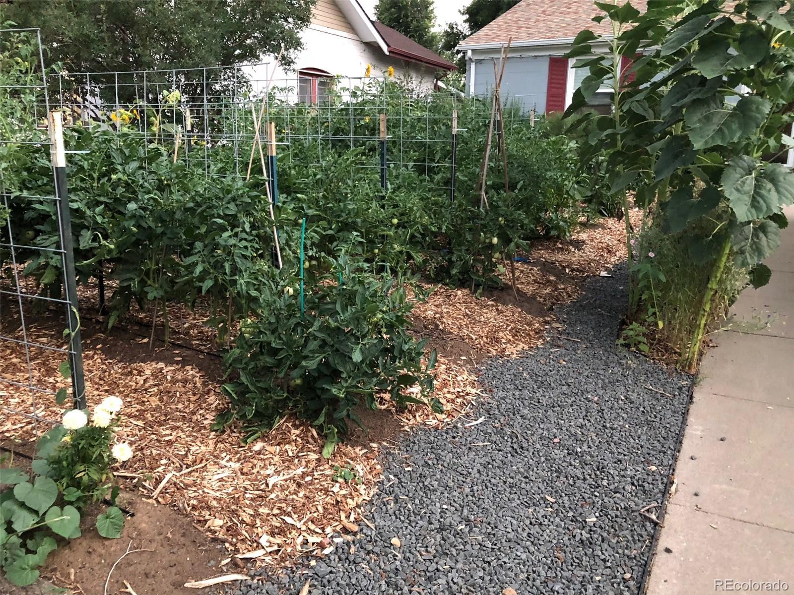 3630 Fillmore Street Denver, CO 80205 - Photo 41 of 50 a view of a house with a backyard