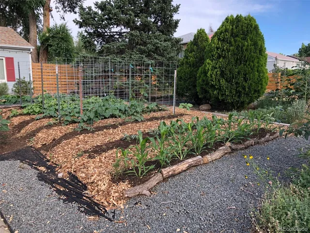 a view of a garden with an empty space