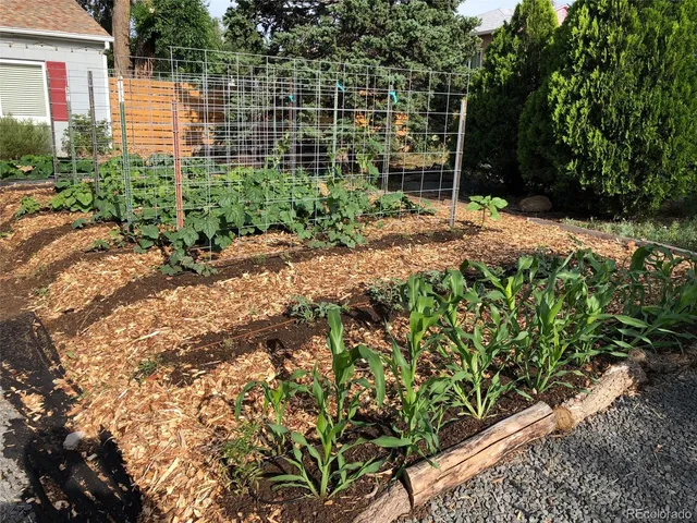 a backyard of a house with lots of green space and trees all around