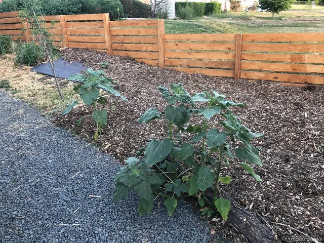 a view of a yard with a house in the background