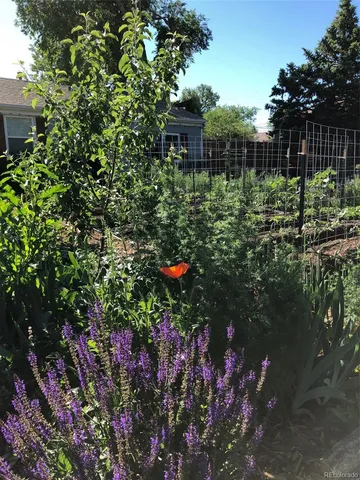 a view of a house with backyard and garden