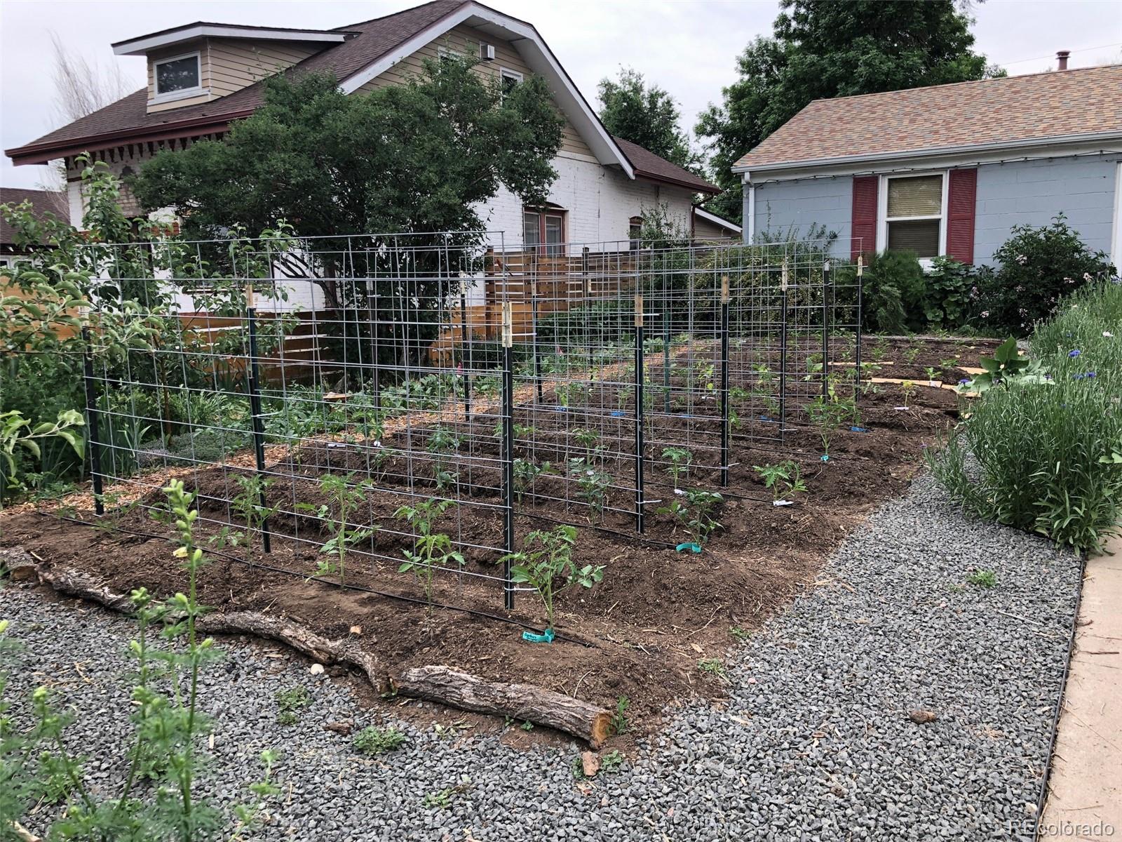 3630 Fillmore Street Denver, CO 80205 - Photo 46 of 50 a view of a yard with a house in the background