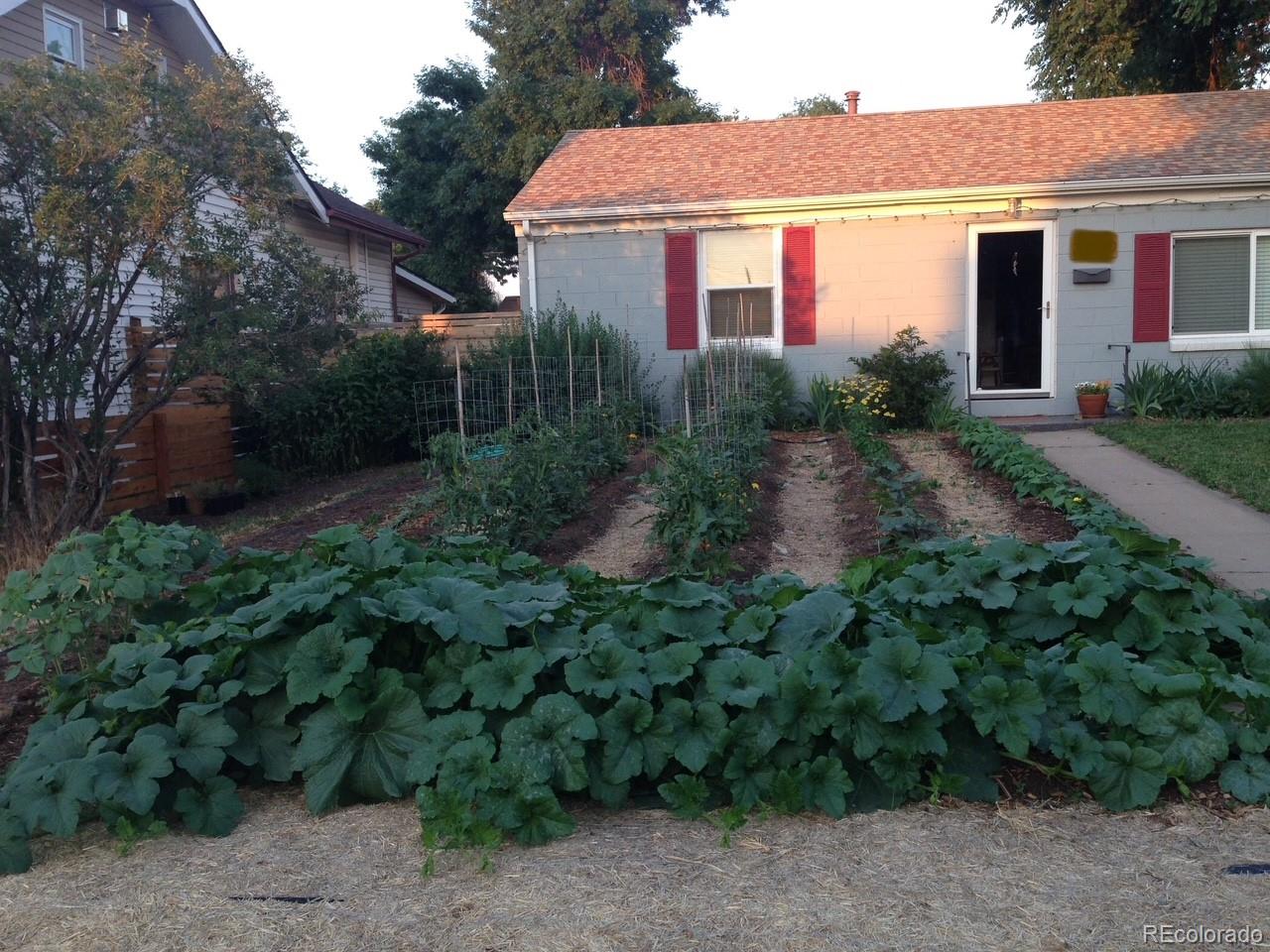 3630 Fillmore Street Denver, CO 80205 - Photo 47 of 50 a view of a house with backyard and garden