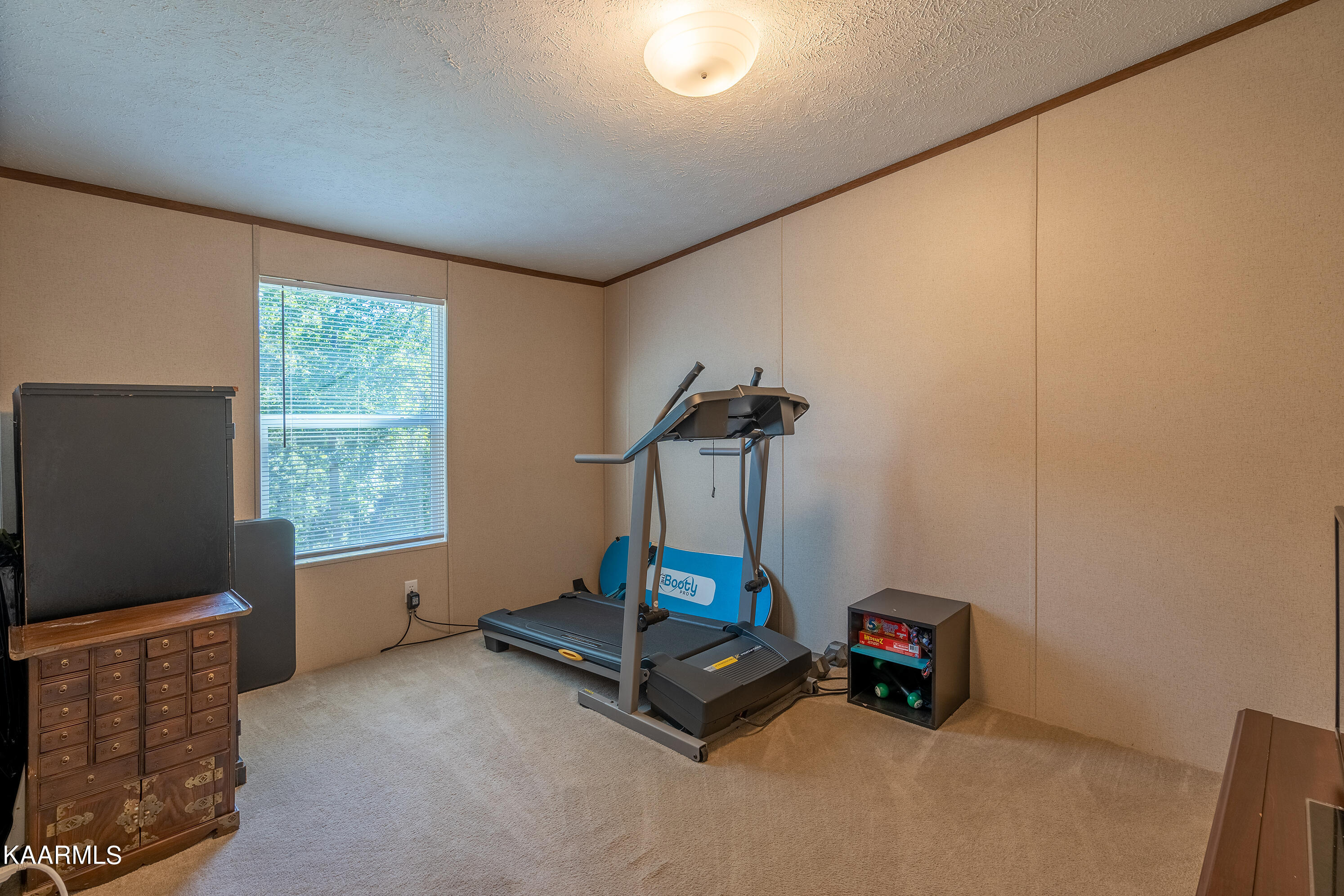 113 Rebel Road Harriman, TN 37748 - Photo 22 of 46 A7305241-HDR