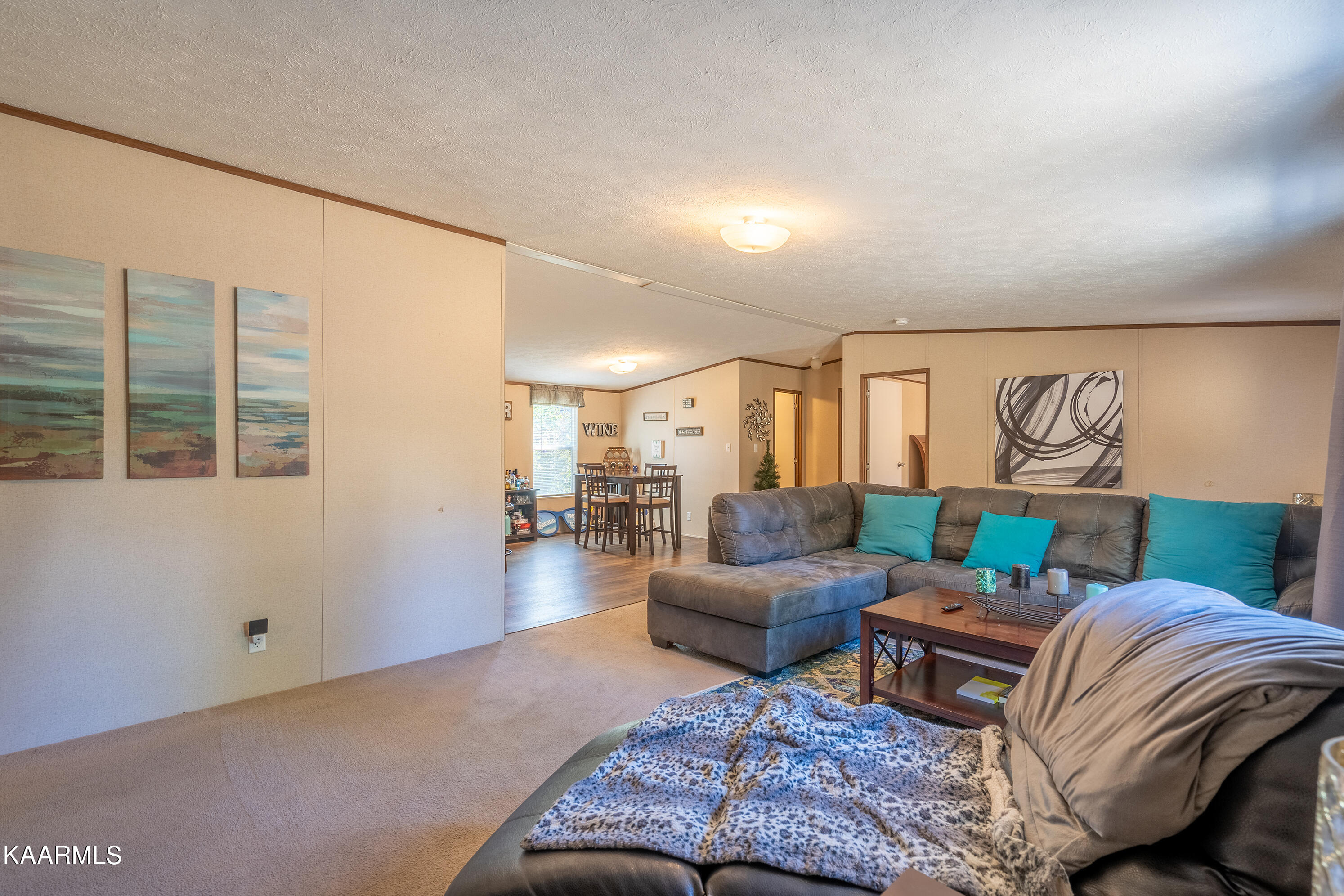 113 Rebel Road Harriman, TN 37748 - Photo 4 of 46 A7305199-HDR