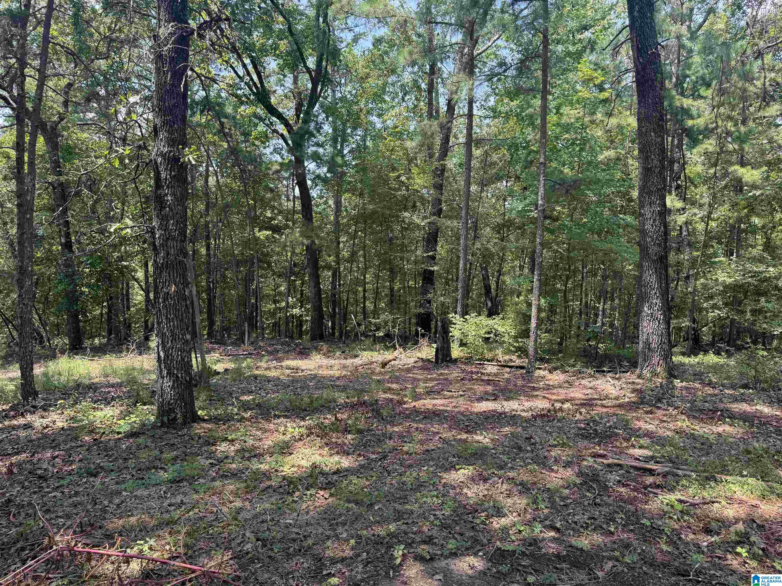 305 Stone Ridge Trail North Anniston, AL 36207 - Photo 66 of 72