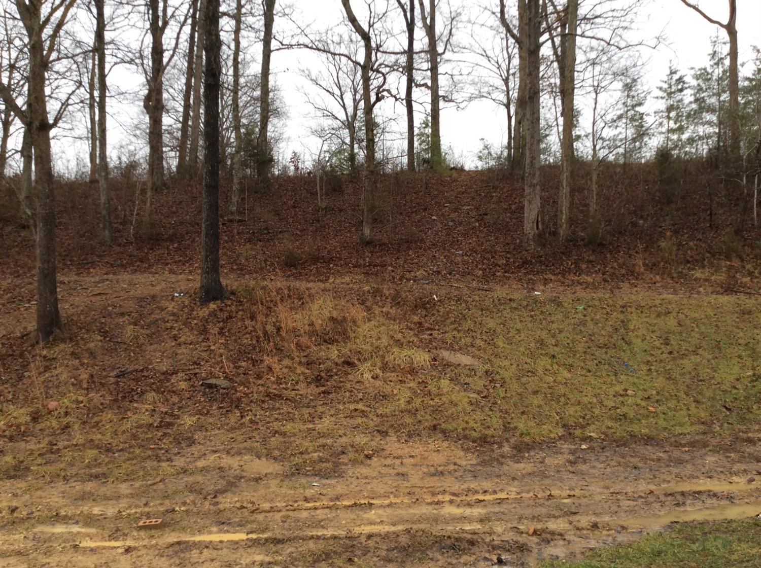 193 Cruse Road Richmond, KY 40475 - Photo 15 of 27 Photo 15