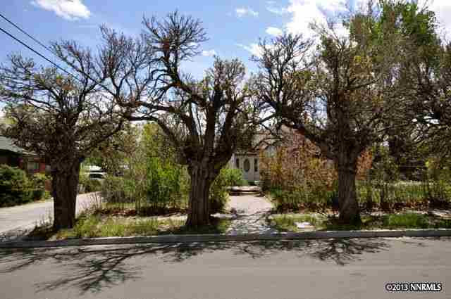 524 Ridge Street Reno, NV 89501 - Photo 1 of 1 a tree in the middle of a yard
