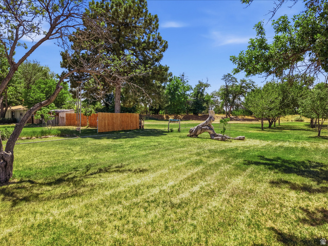 365 North Main Street Fillmore, UT 84631 - Photo 11 of 51 Expansive green lawn with mature trees, established landscaping, and a natural wood fence