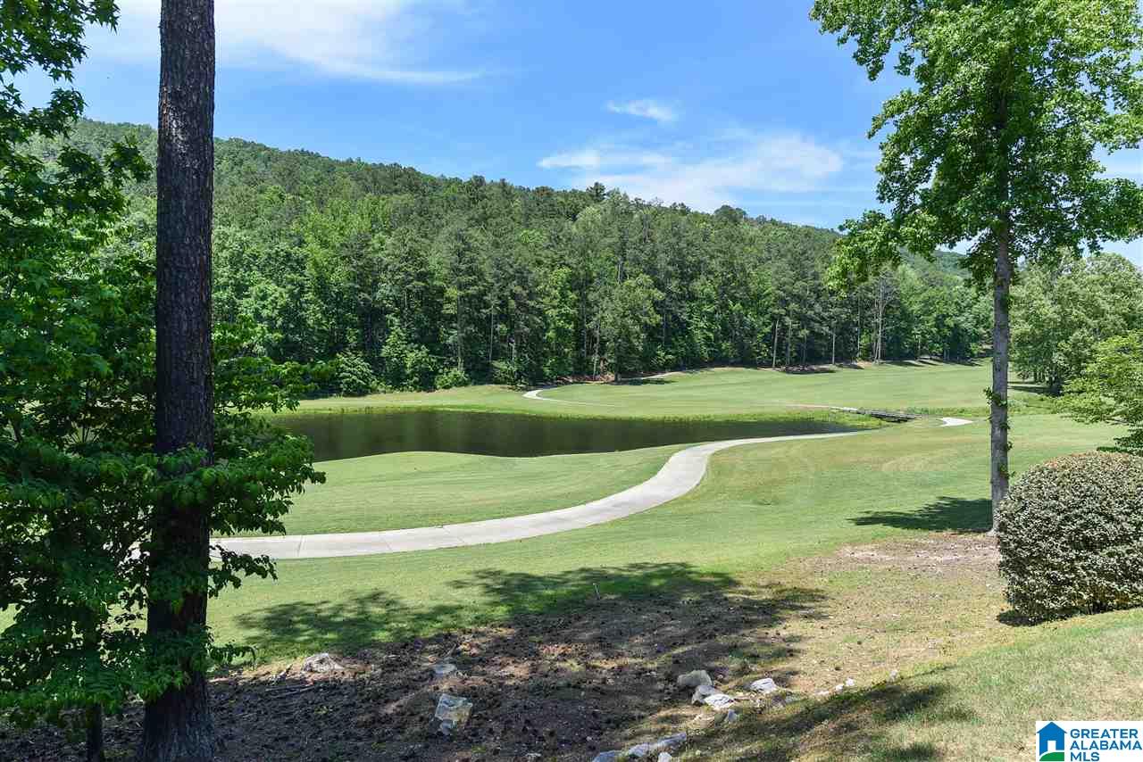 84 Muirfield Circle Oneonta, AL 35121 - Photo 6 of 50