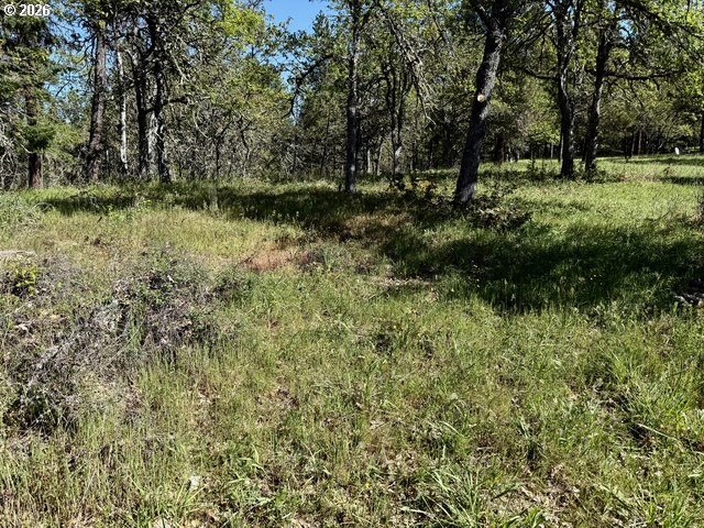 2215 Pine Oak Road Mosier, OR 97040 - Photo 31 of 46 Acreage